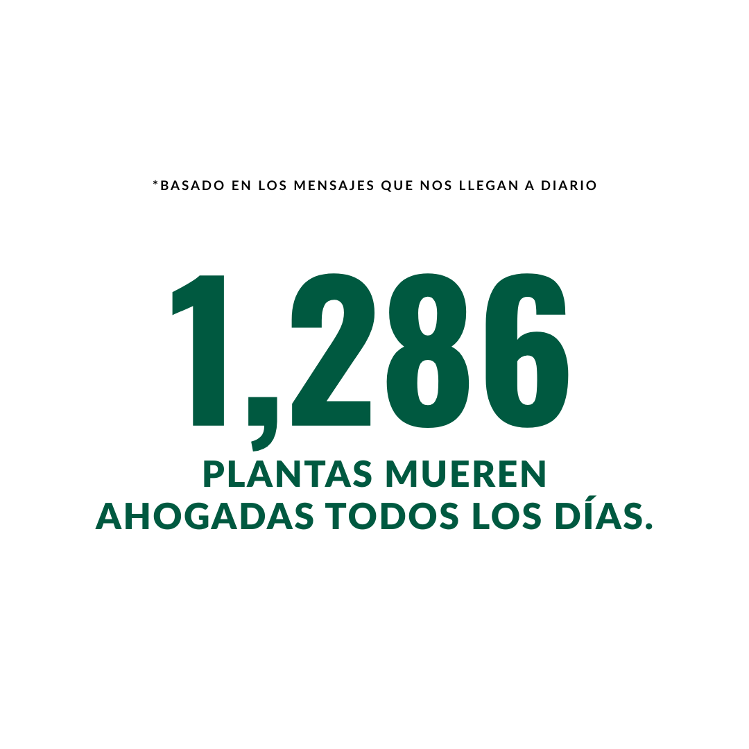 Taller: Manual de Supervivencia