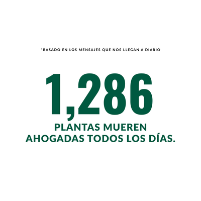 Curso: Manual de Supervivencia