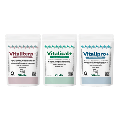 Tripack Vitali+