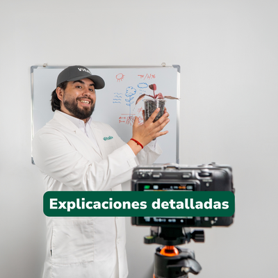 Consulta en línea: Asesoría experta para tus plantas