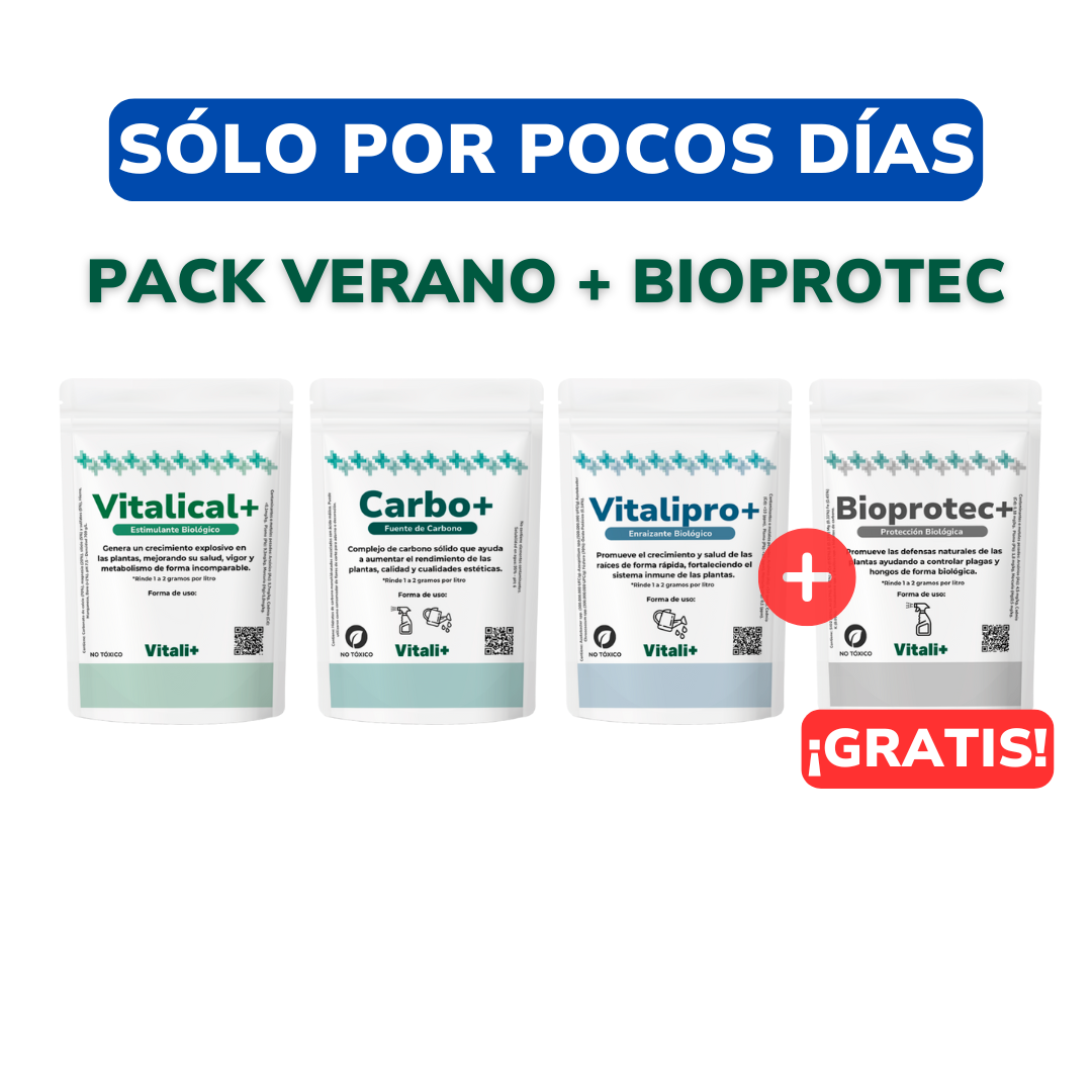 PROMO VERANIEGA