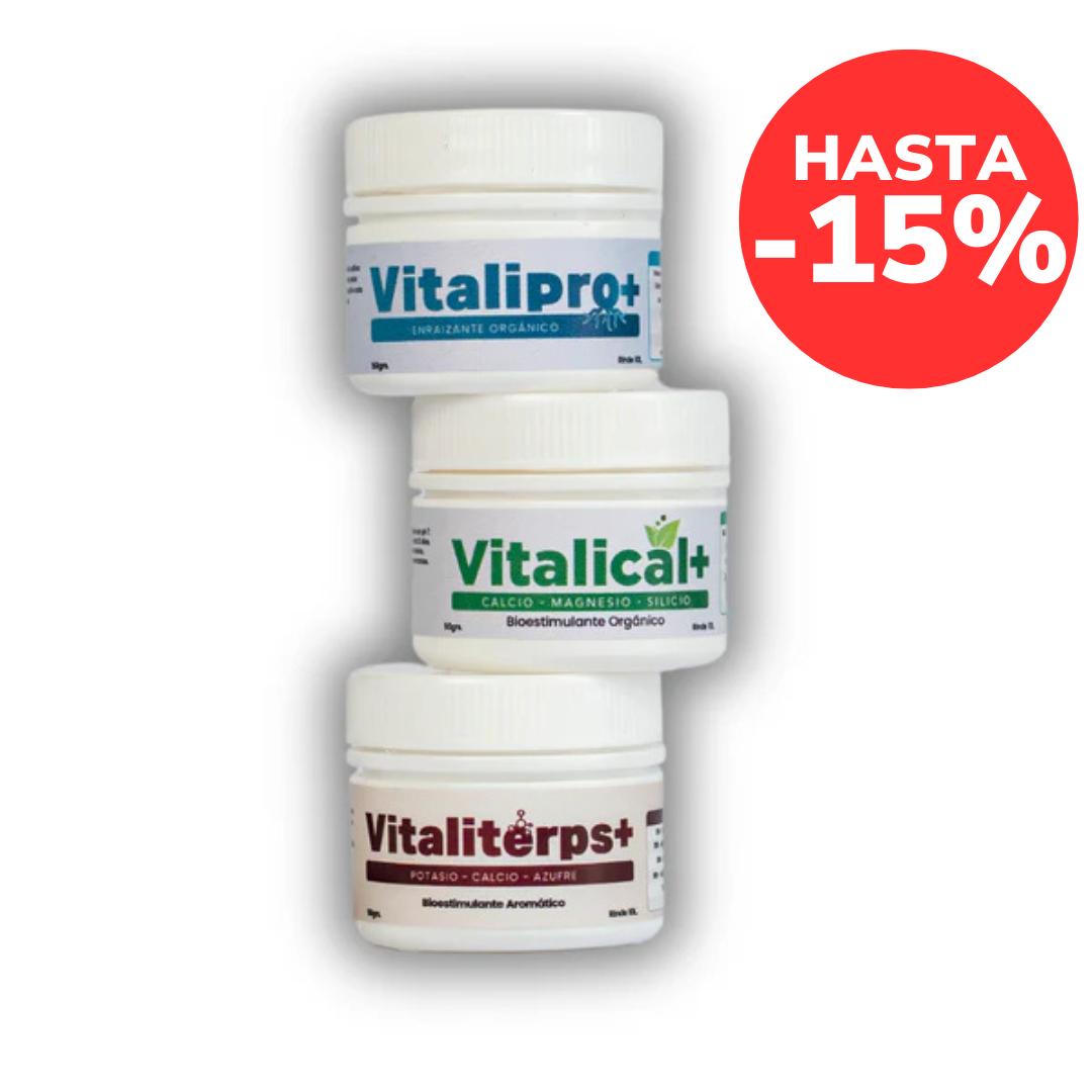 Pack Vitalifan