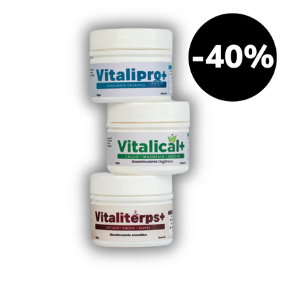 Pack Vitalifan
