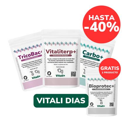 Promo Invernal