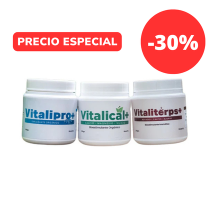 Pack Vitalifan