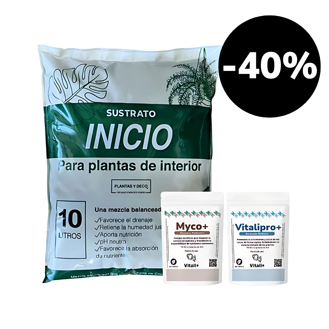 Pack Trasplante