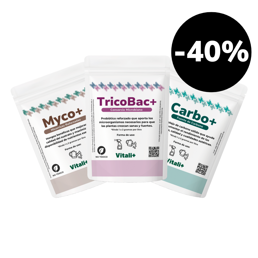 Pack Otoño