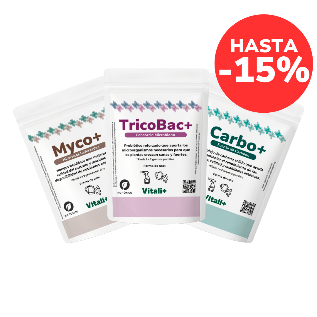 Pack Otoño