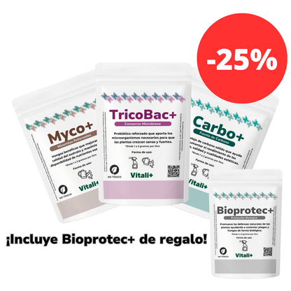 Promo Otoñal