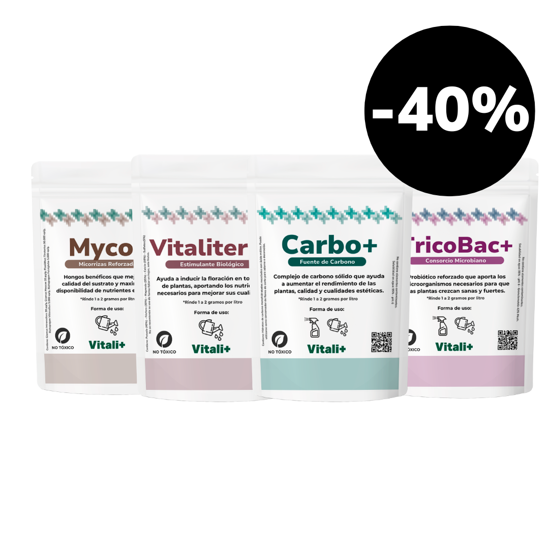 Pack Anti-Frío