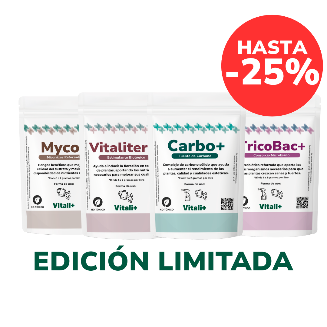 Pack Anti-Frío
