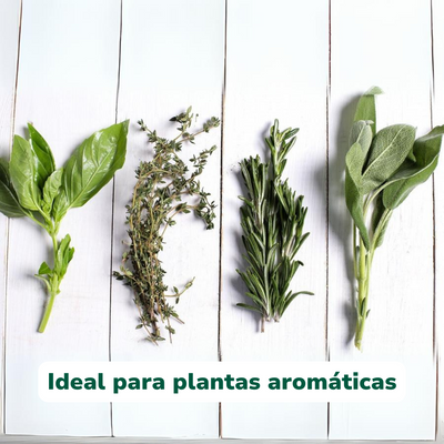 Vitalisil de Vitali+ — Características y modo de uso