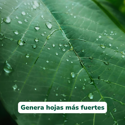 Bioprotec+ de Vitali+ — Detalle del producto