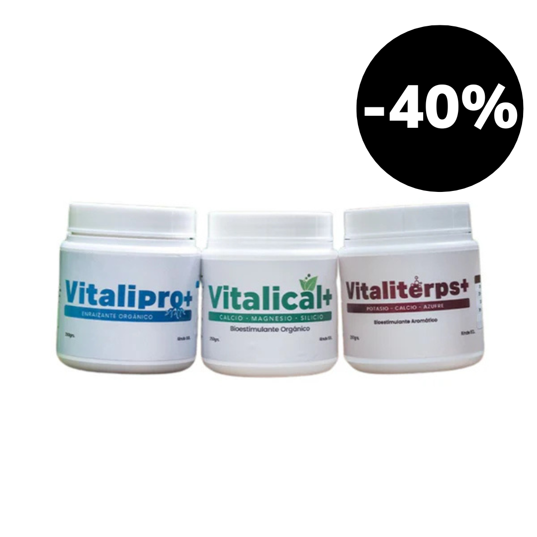 Pack Vitalifan