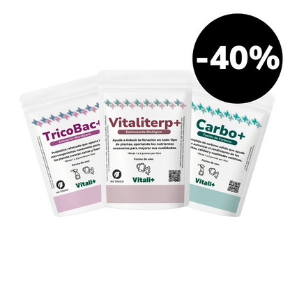 Pack Invierno