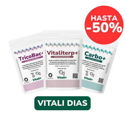 Pack Invierno - ÚLTIMAS UNIDADES