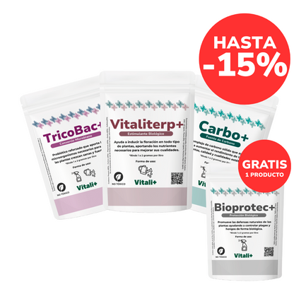 Promo Invernal