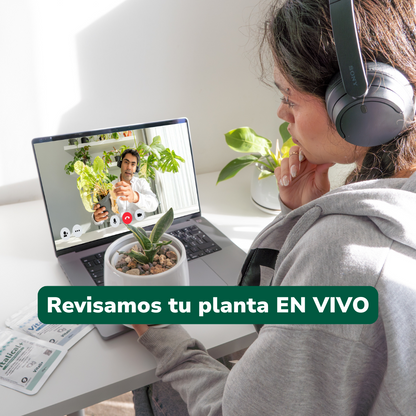 Clínica de plantas (en línea)