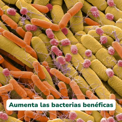 Carbo+ de Vitali+ — Formato y presentación