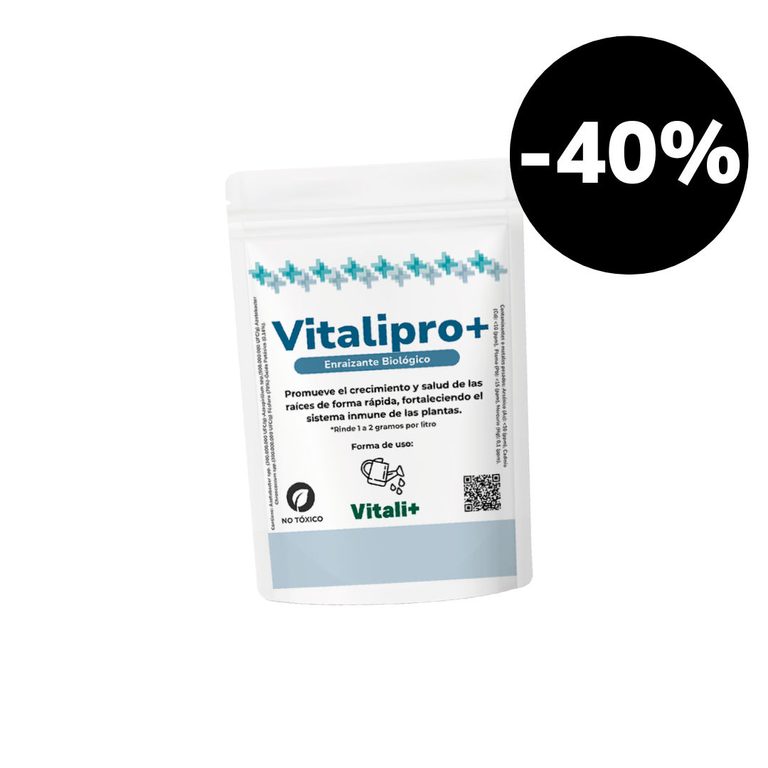 Vitalipro