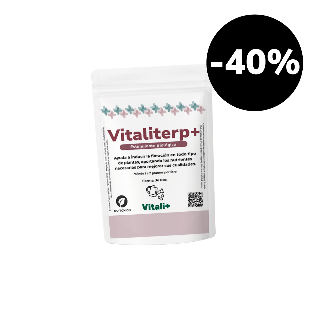 Vitaliterp