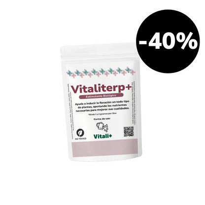 Vitaliterp