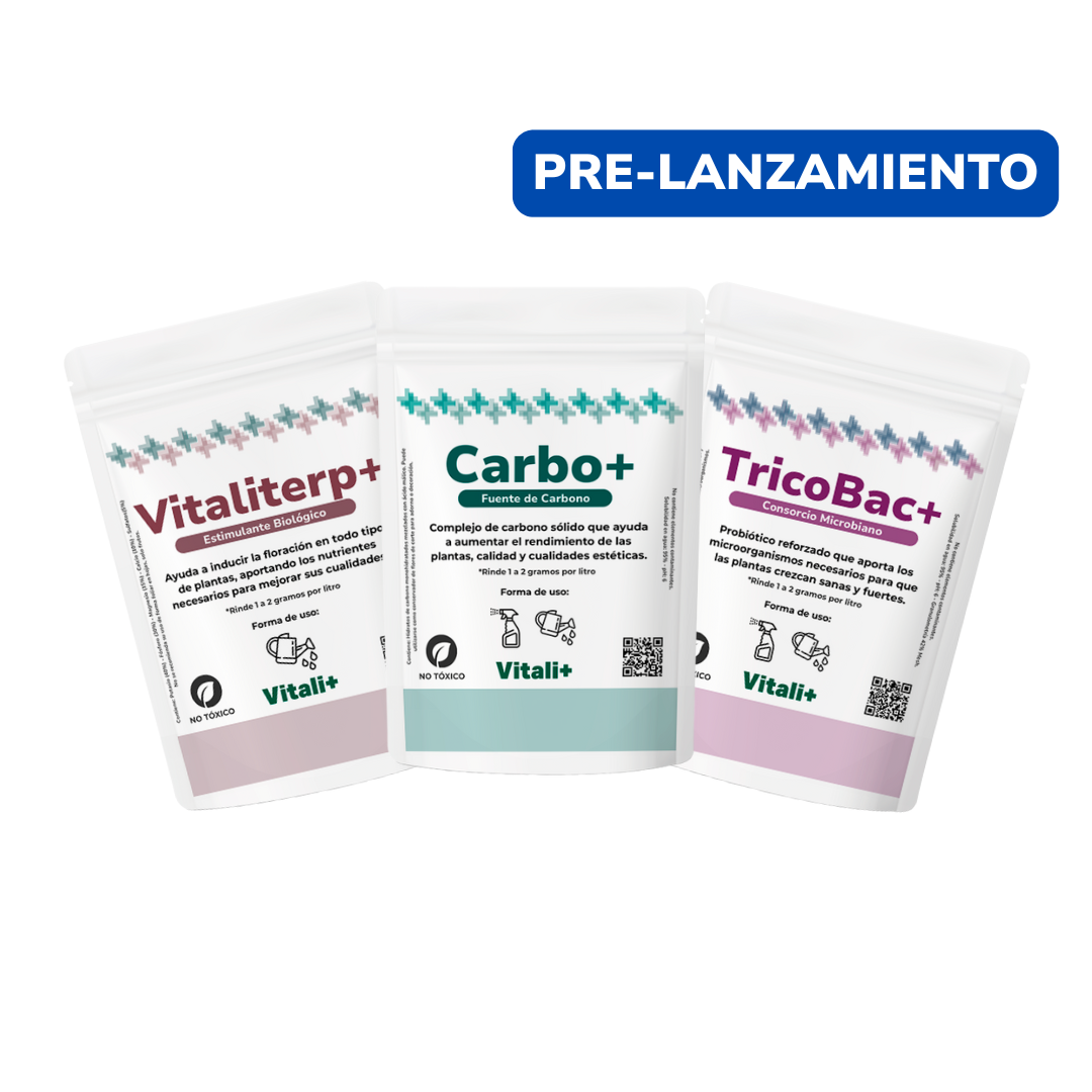 Pack Invierno - PRE LANZAMIENTO