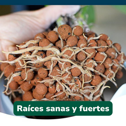 Pack Hidro