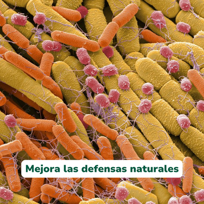 Bioprotec+ de Vitali+ — Formato y presentación