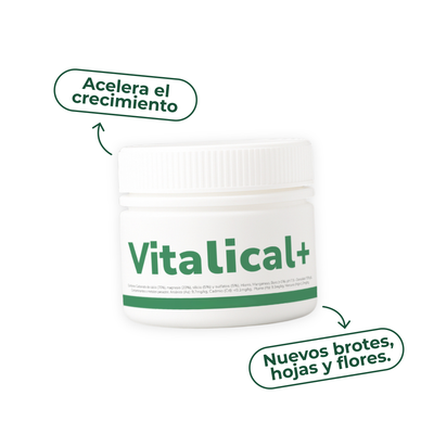 Vitalical de Vitali+ — Fertilizante natural para plantas de interior y exterior