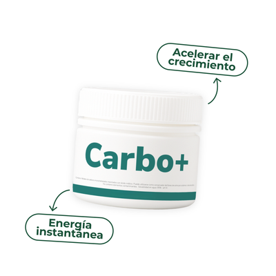 Carbo+ de Vitali+ — Energía instantánea para reactivar plantas decaídas o trasplantadas