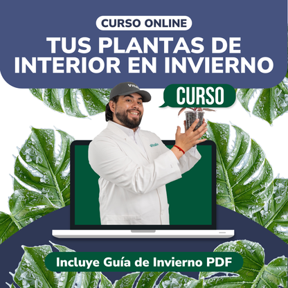Curso: Cuida Tus Plantas de Interior en Invierno (preventa)