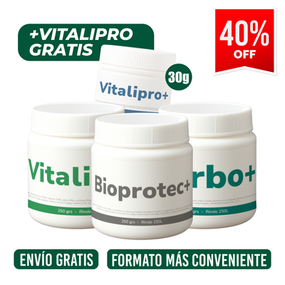 Pack Desarrollo