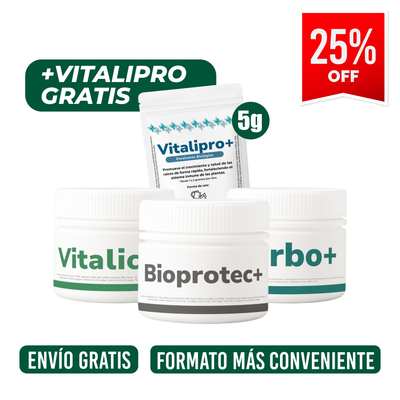 Pack Desarrollo