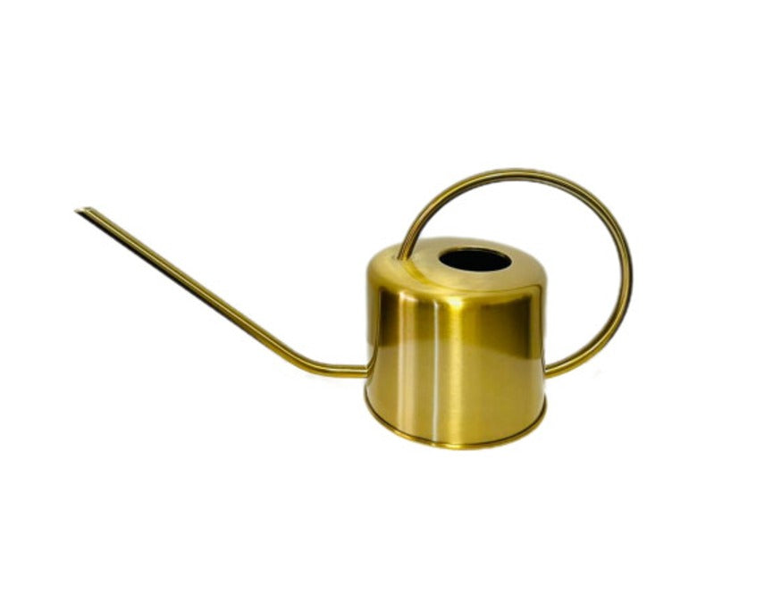 Regadera Inox
