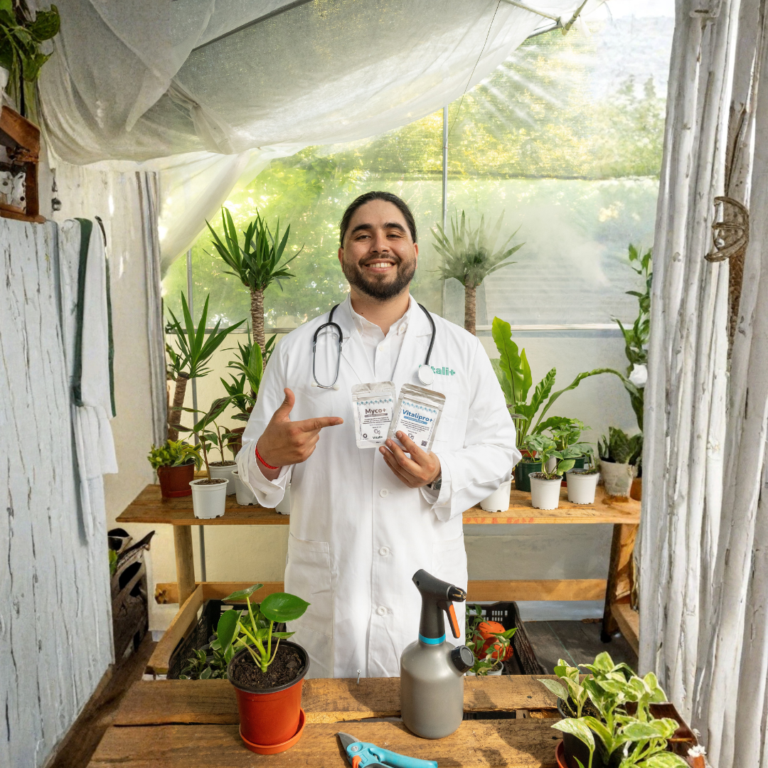 Clínica de Plantas Presencial - Ayuda experta en Santiago