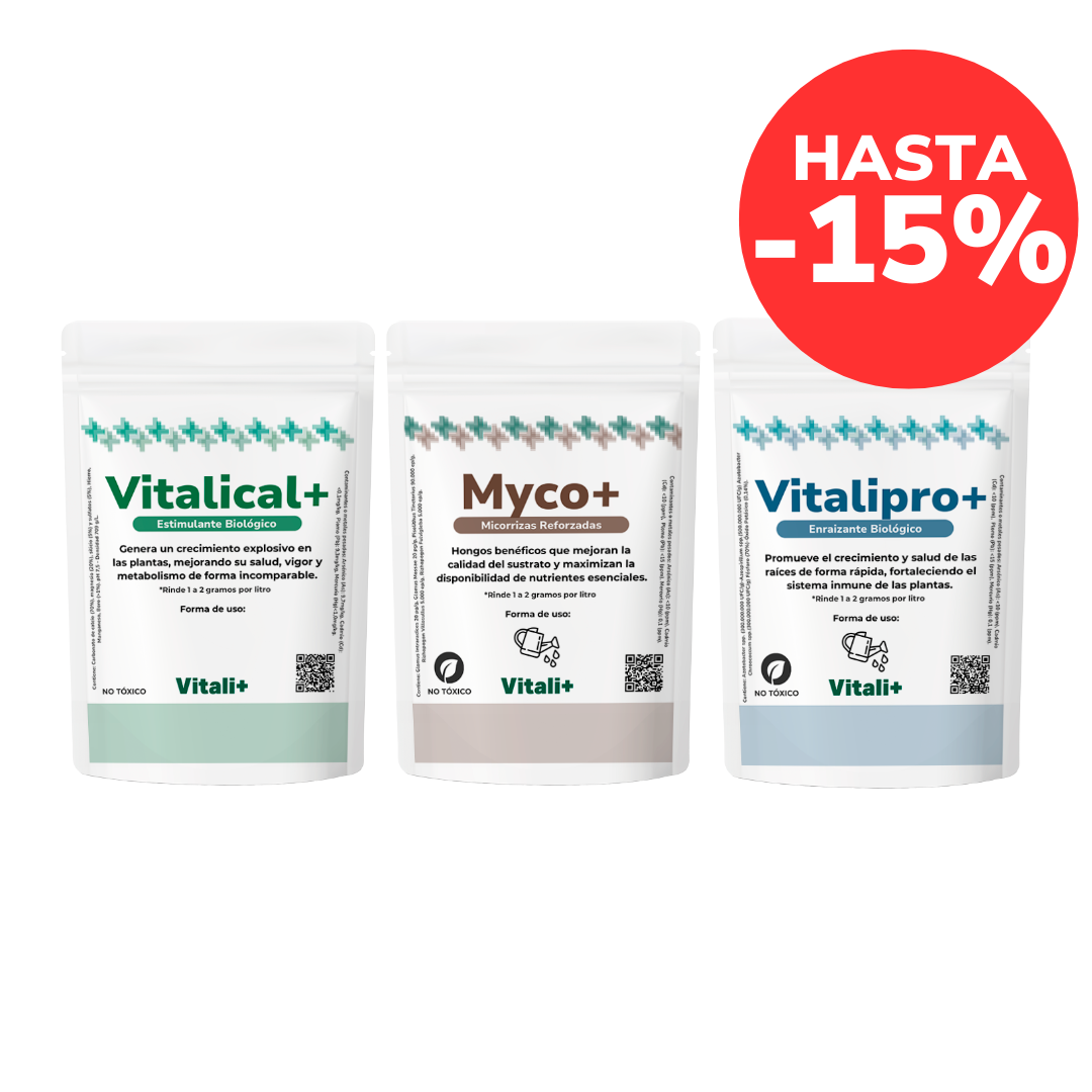 Pack Huerta