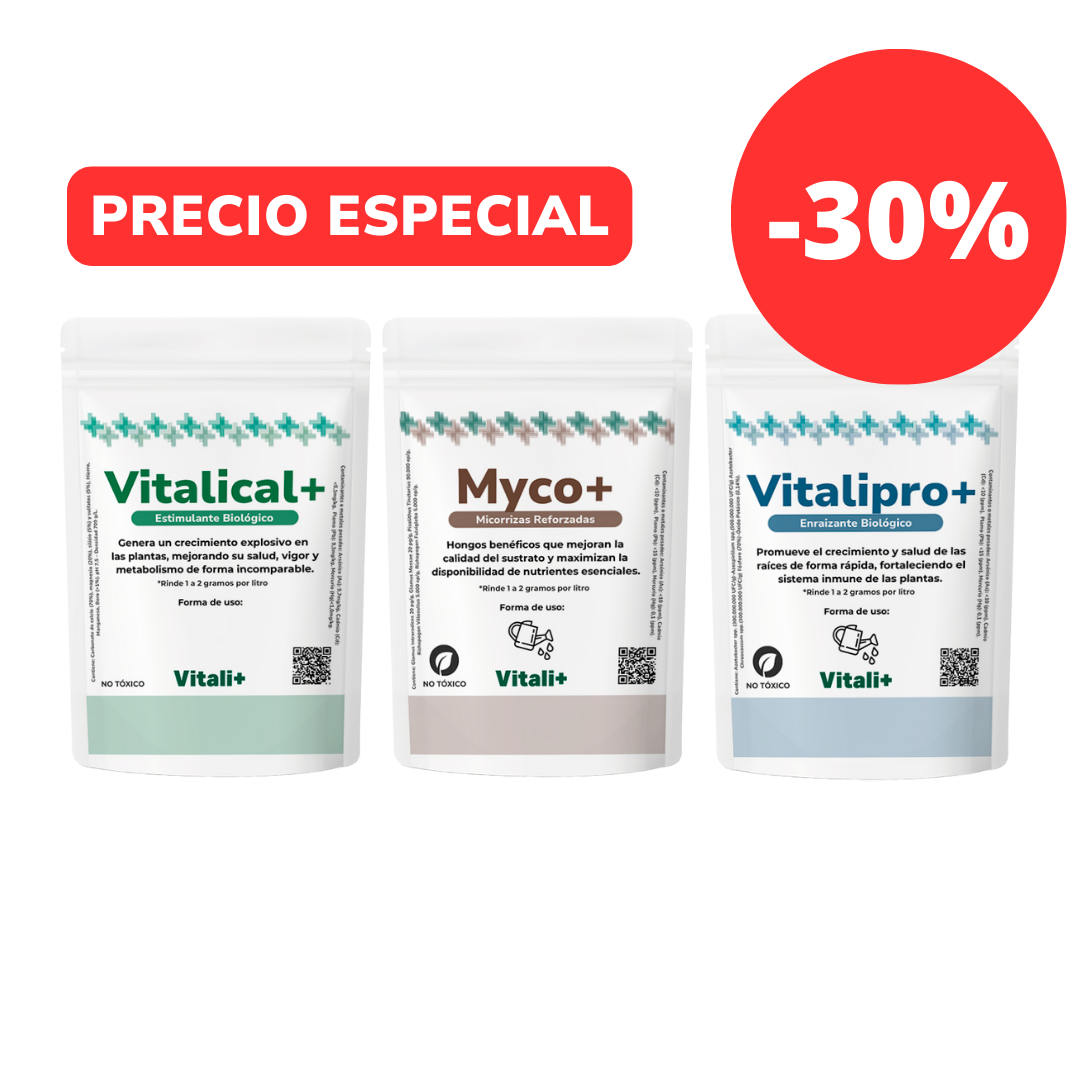 Pack Huerta