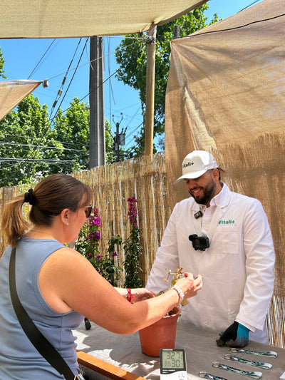 Clínica de Plantas a Domicilio - Ayuda experta en Santiago