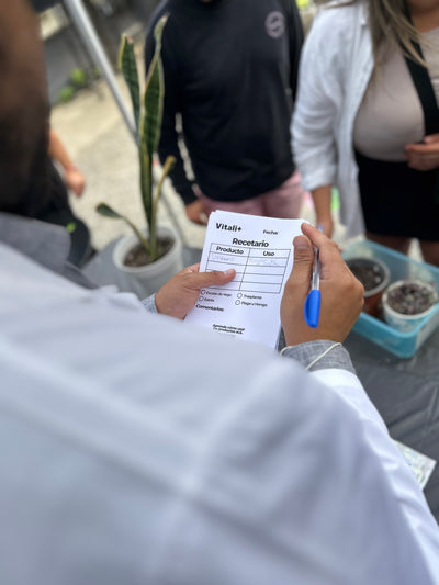 Clínica de Plantas a Domicilio - Ayuda experta en Santiago
