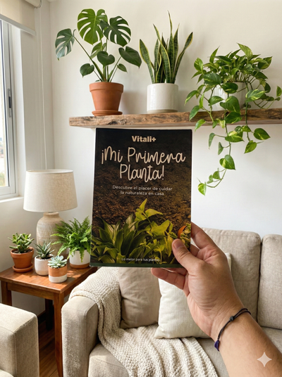 Guía mi primera planta