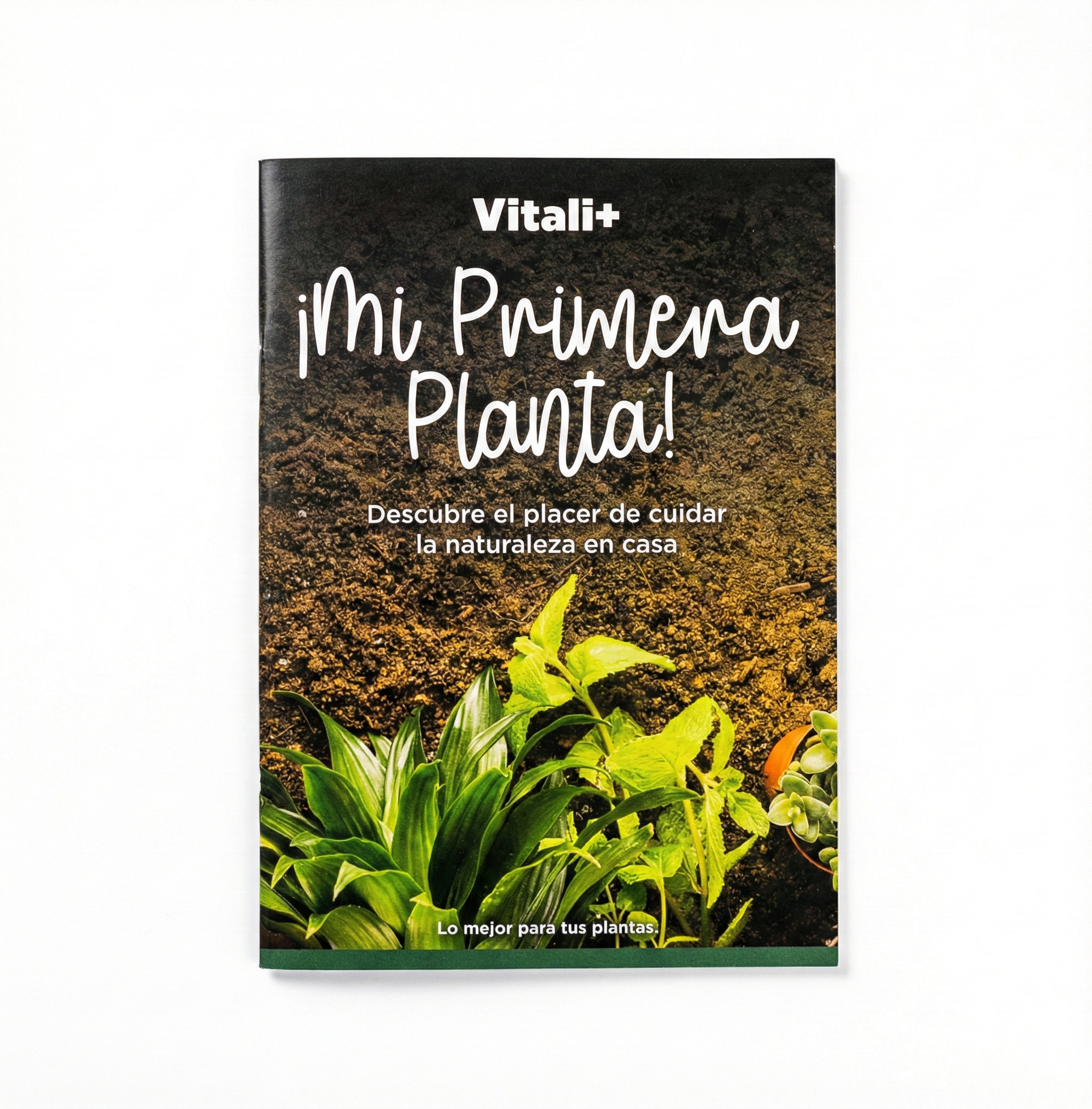 Guía mi primera planta