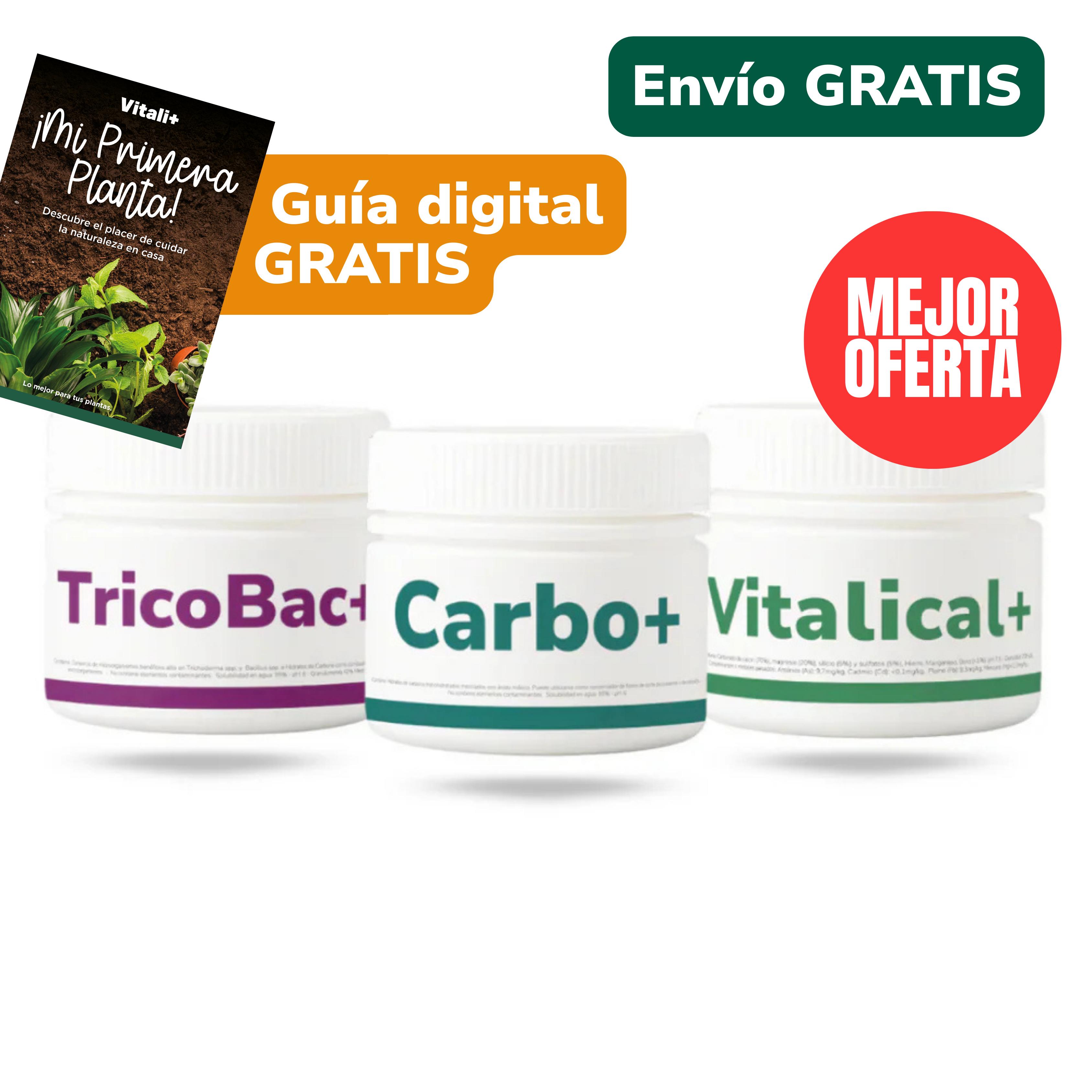 Pack Primavera