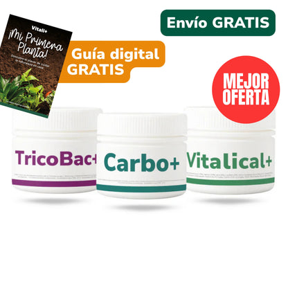 Pack Primavera
