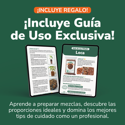 Kit de propagación