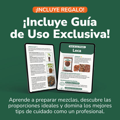Leca o Arcilla Expandida