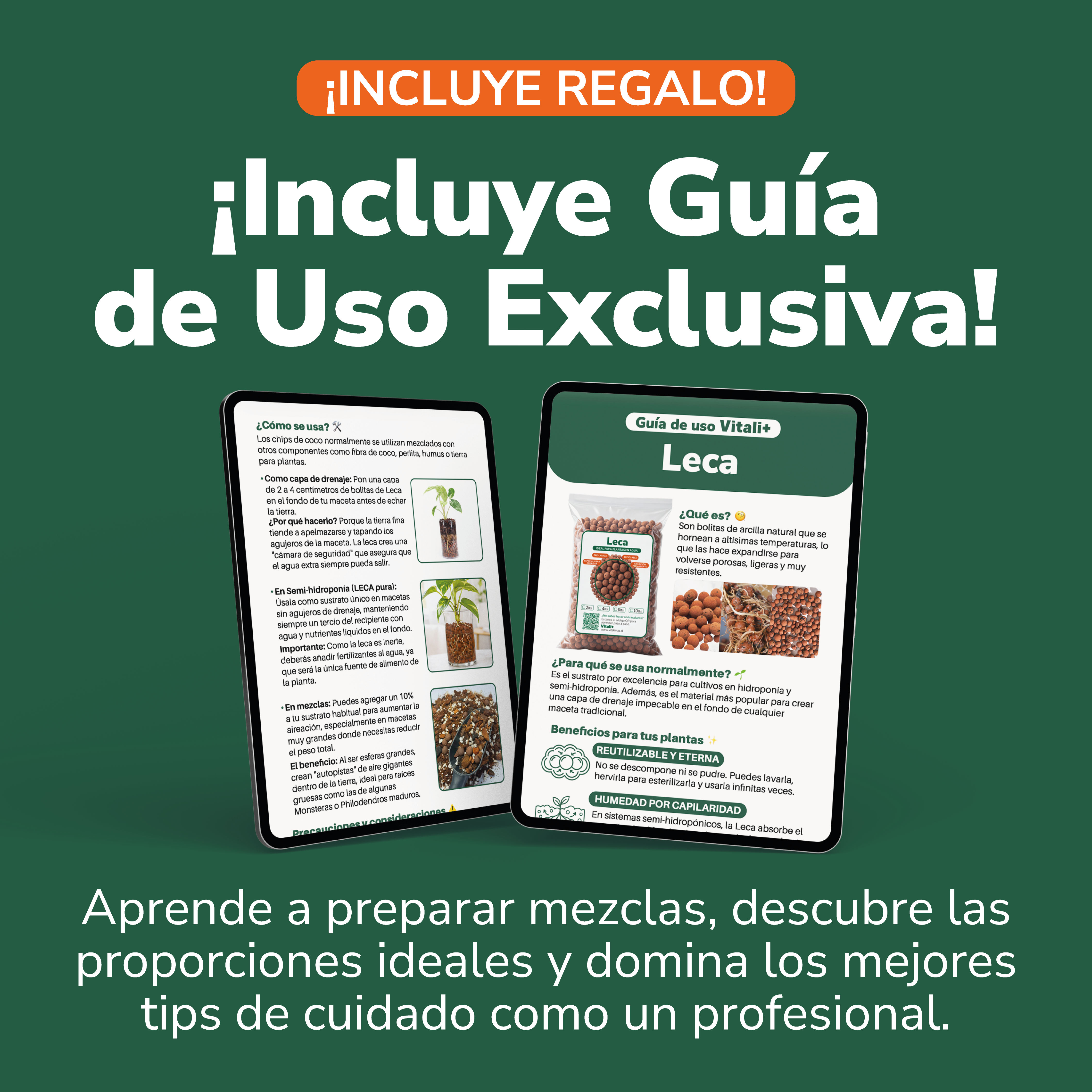 Leca o Arcilla Expandida