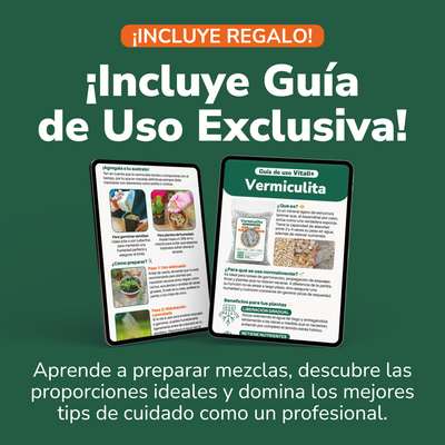 Vermiculita