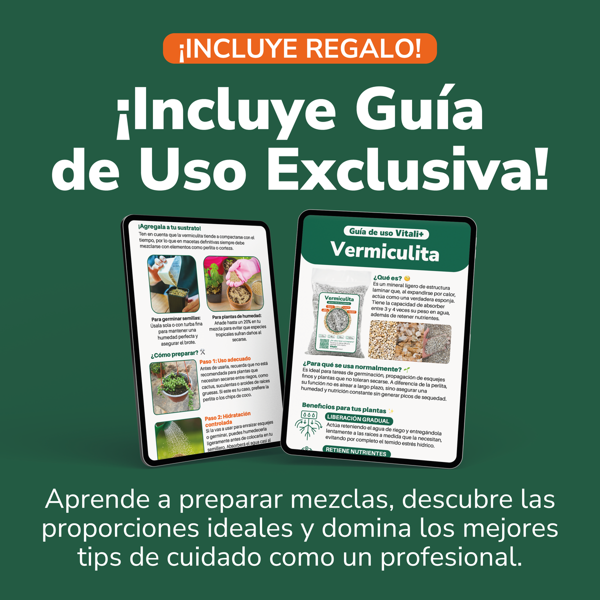 Vermiculita