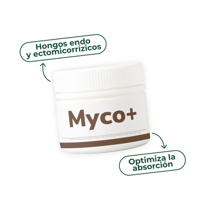 Myco+ de Vitali+ — Micorrizas que multiplican el sistema radicular de plantas